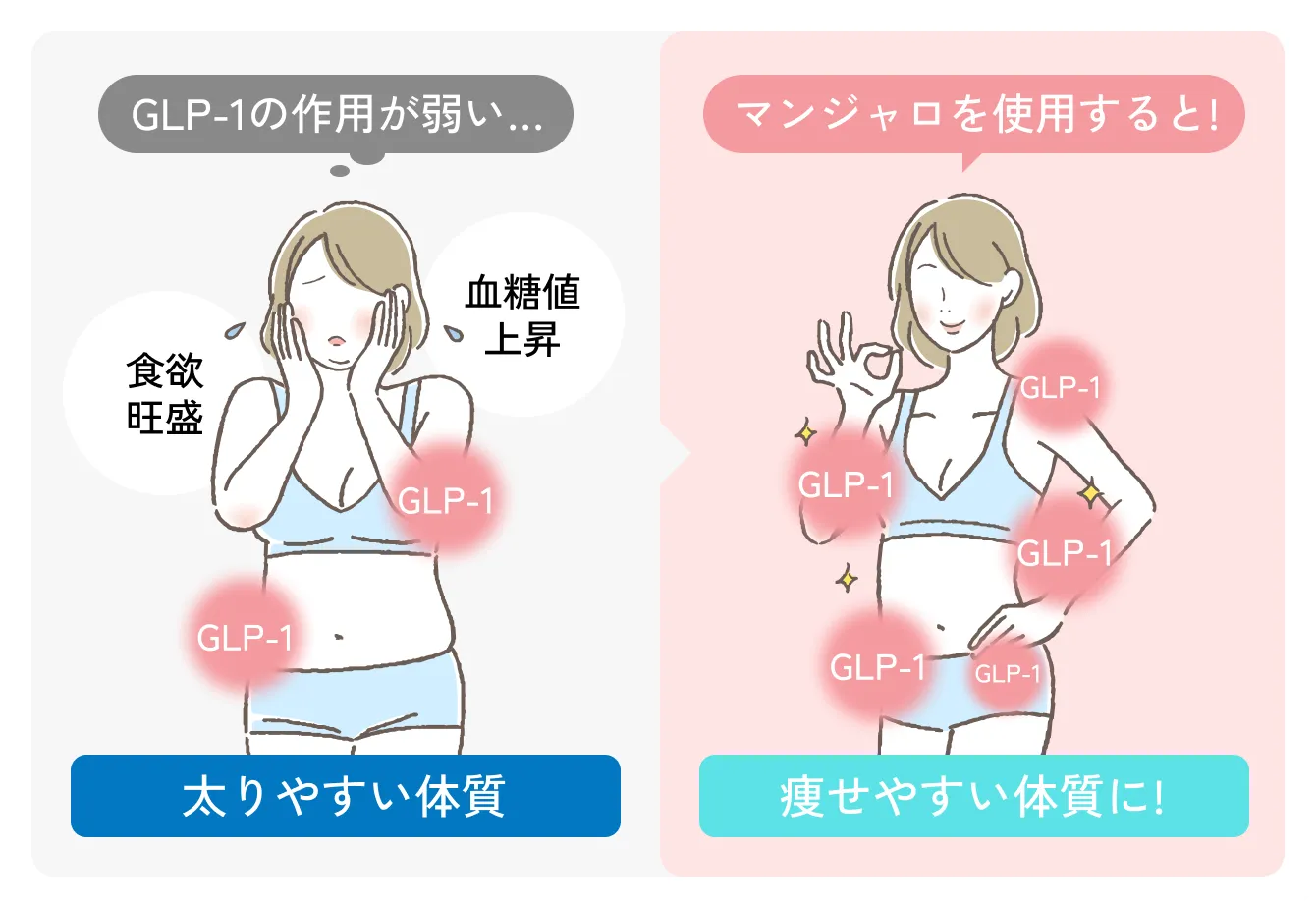 GLP-1の作用が弱い 食欲旺盛 血糖値上昇 太りやすい体質・マンジャロを使用すると! 痩せやすい体質に!