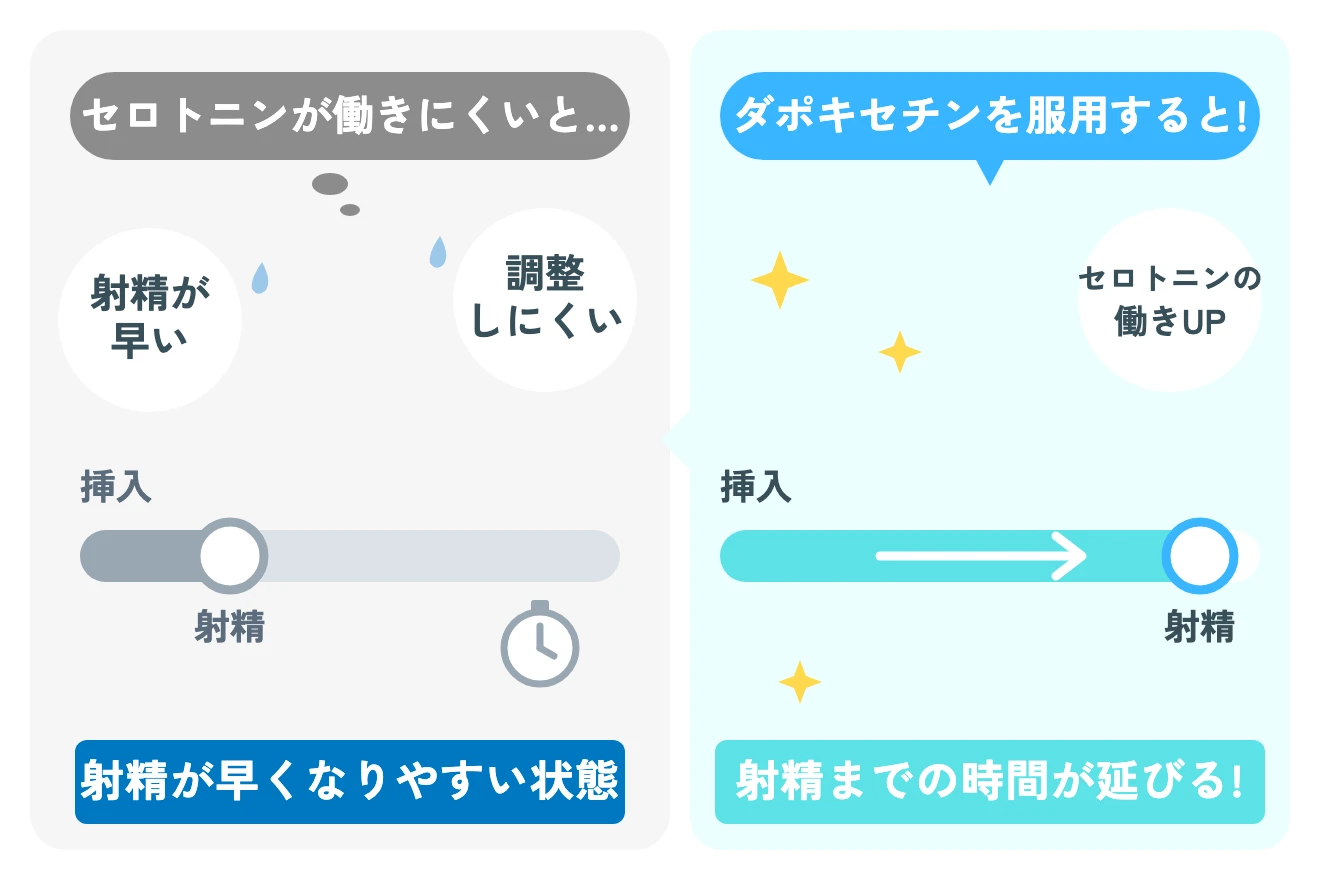 セロトニンが働きにくいと… 射精が早い 調整しにくい 射精が早くなりやすい状態・ダポキセチンを服用すると! セロトニンの働きUP 射精までの時間が延びる!