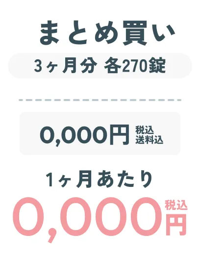まとめ買い3ヶ月分各270錠 ダミー画像